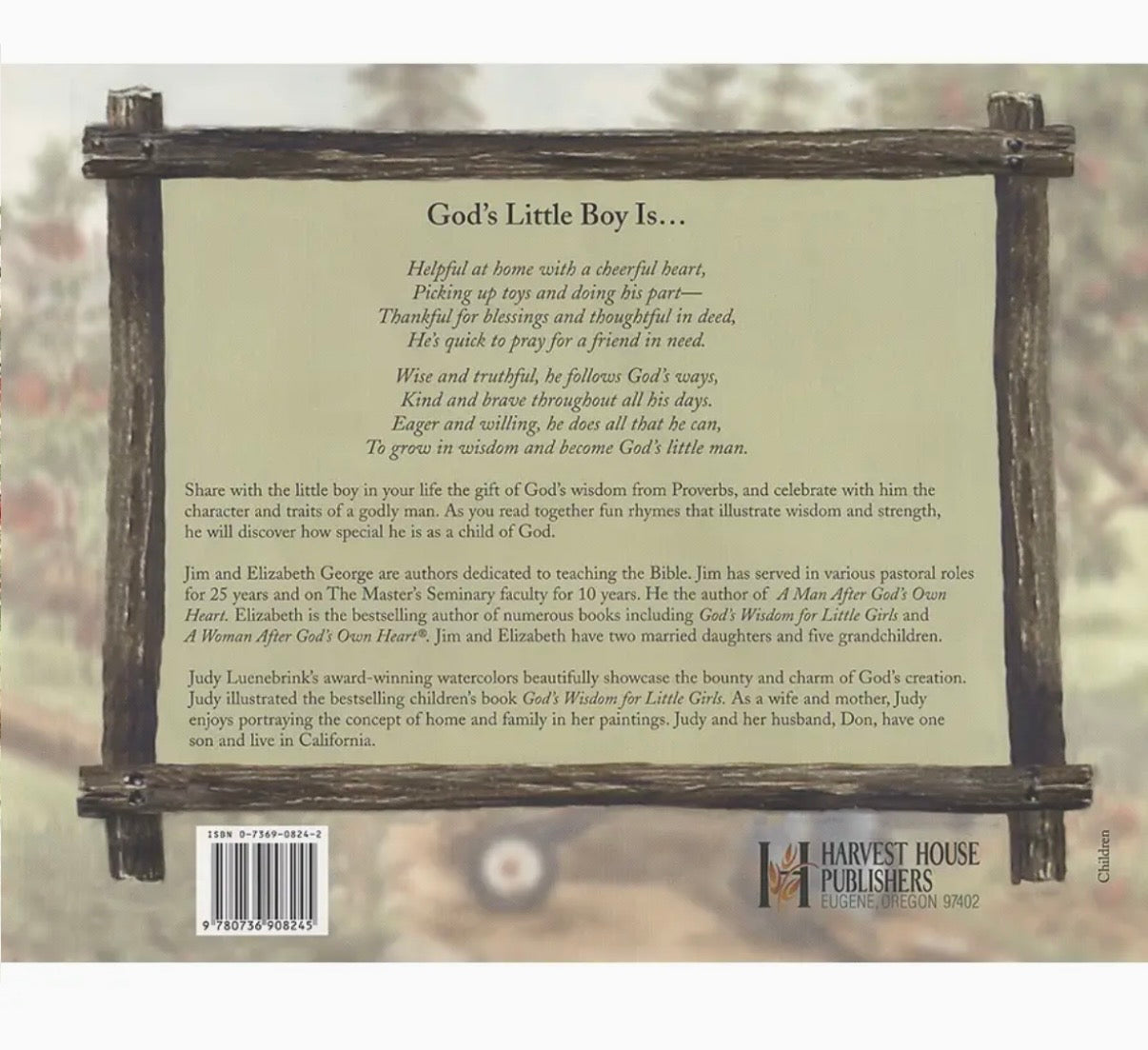 God’s Wisdom for Little Boys Book