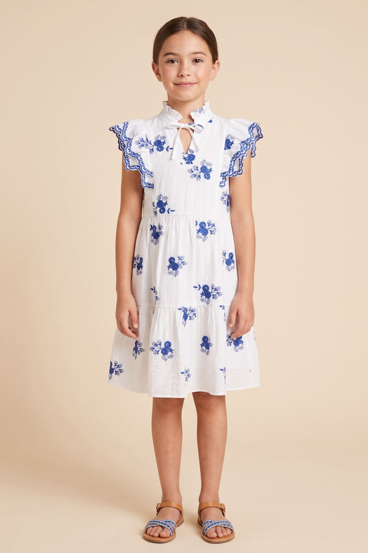 Girl's Floral Embroidered Dress Blue & White