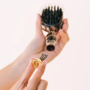 Teletie Mini Boar Brush Tortoise
