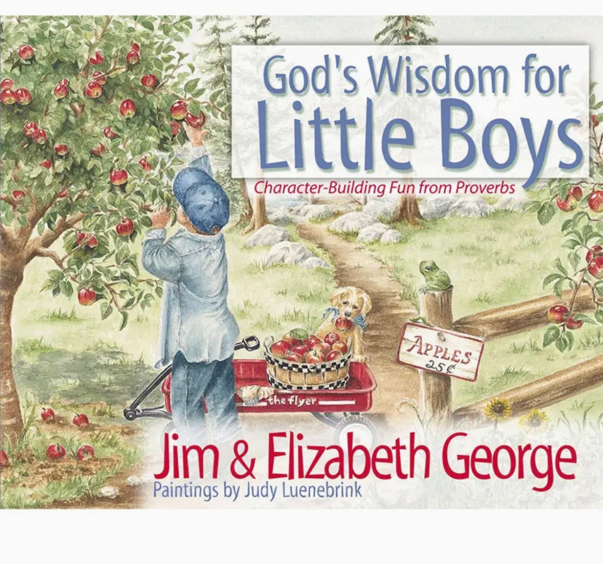 God’s Wisdom for Little Boys Book