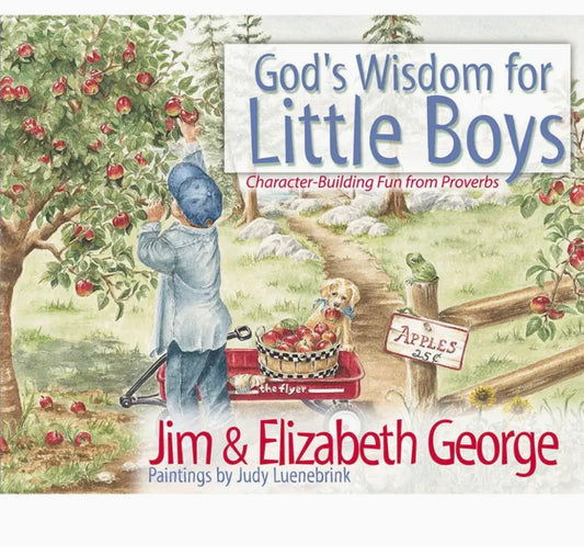 God’s Wisdom for Little Boys Book