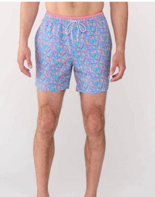 Chubbies The Spades 5.5 Classic Lined Swim Trunks