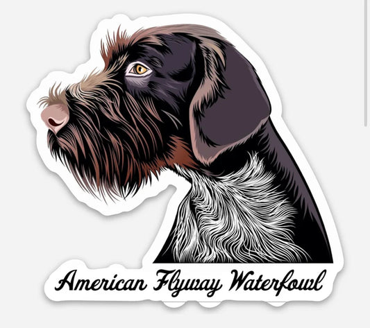American Flyway Waterfowl German Wirehaired Pointer