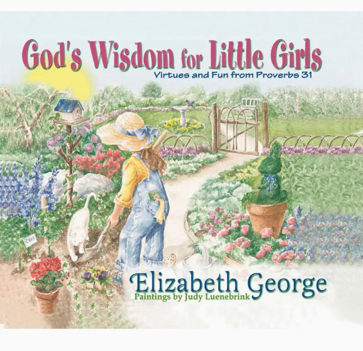 God’s Wisdom for Little Girls Book