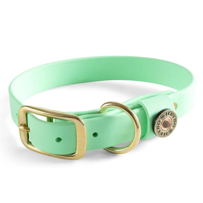 HEYBO Biothane Dog Collar Mint