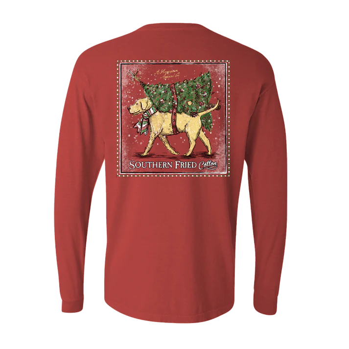 Southern Fried Cotton Special Delivery Long Sleeve in Crimson Fall