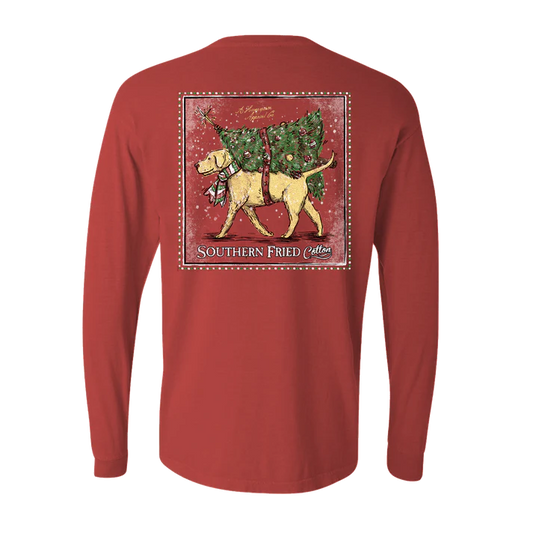 Southern Fried Cotton Special Delivery Long Sleeve in Crimson Fall